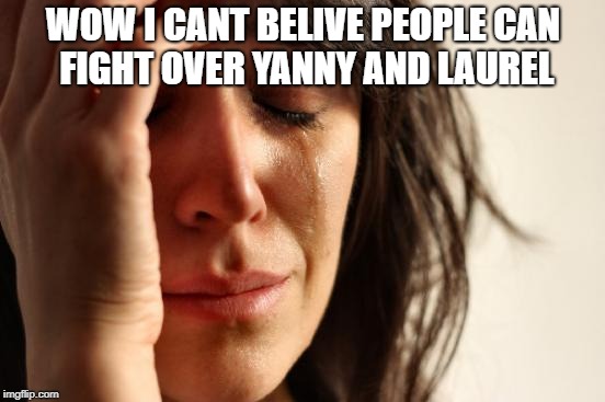 First World Problems | WOW I CANT BELIVE PEOPLE CAN FIGHT OVER YANNY AND LAUREL | image tagged in memes,first world problems | made w/ Imgflip meme maker