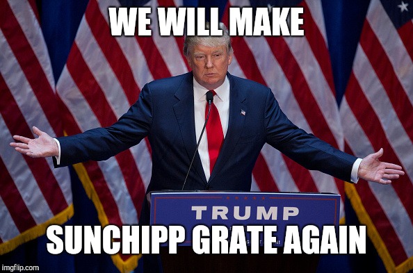Donald Trump | WE WILL MAKE; SUNCHIPP GRATE AGAIN | image tagged in donald trump | made w/ Imgflip meme maker