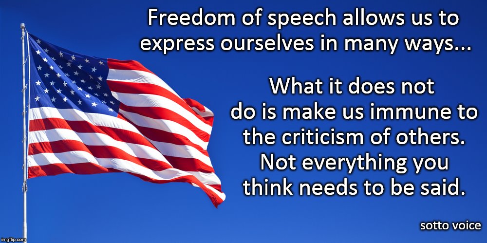 Freedom of Speech | Freedom of speech allows us to express ourselves in many ways... What it does not do is make us immune to the criticism of others. Not everything you think needs to be said. sotto voice | image tagged in freedom | made w/ Imgflip meme maker