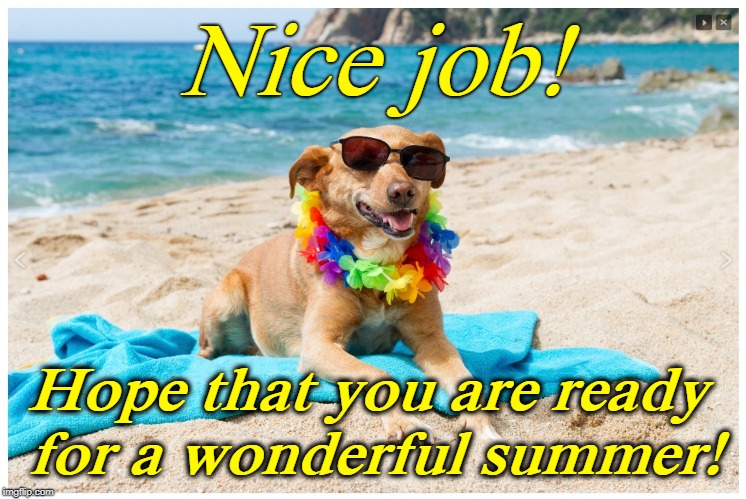 Dog on beach | Nice job! Hope that you are ready for a wonderful summer! | image tagged in dog on beach | made w/ Imgflip meme maker