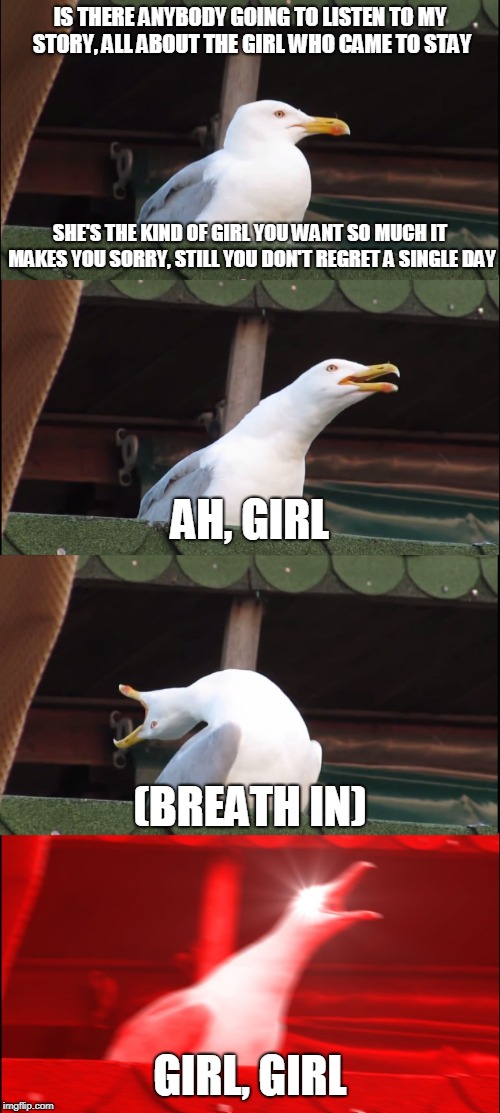 The Seagles | IS THERE ANYBODY GOING TO LISTEN TO MY STORY, ALL ABOUT THE GIRL WHO CAME TO STAY; SHE'S THE KIND OF GIRL YOU WANT SO MUCH IT MAKES YOU SORRY, STILL YOU DON'T REGRET A SINGLE DAY; AH, GIRL; (BREATH IN); GIRL, GIRL | image tagged in memes,inhaling seagull | made w/ Imgflip meme maker