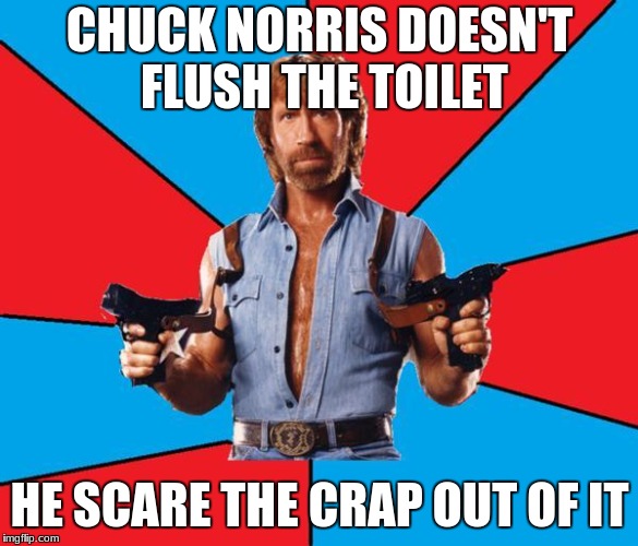 He really doesn't... | CHUCK NORRIS DOESN'T FLUSH THE TOILET; HE SCARE THE CRAP OUT OF IT | image tagged in memes,chuck norris with guns,chuck norris,funny,meme | made w/ Imgflip meme maker