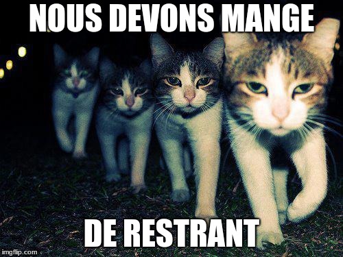 Wrong Neighboorhood Cats | NOUS DEVONS MANGE; DE RESTRANT | image tagged in memes,wrong neighboorhood cats | made w/ Imgflip meme maker