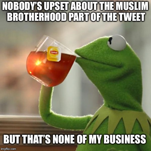 But That's None Of My Business Meme | NOBODY’S UPSET ABOUT THE MUSLIM BROTHERHOOD PART OF THE TWEET; BUT THAT’S NONE OF MY BUSINESS | image tagged in memes,but thats none of my business,kermit the frog,roseanne,politics | made w/ Imgflip meme maker