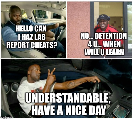 Detention 4 u | HELLO CAN I HAZ LAB REPORT CHEATS? NO... DETENTION 4 U... WHEN WILL U LEARN; UNDERSTANDABLE, HAVE A NICE DAY | image tagged in understandable,denk,maymays,memes,funny | made w/ Imgflip meme maker