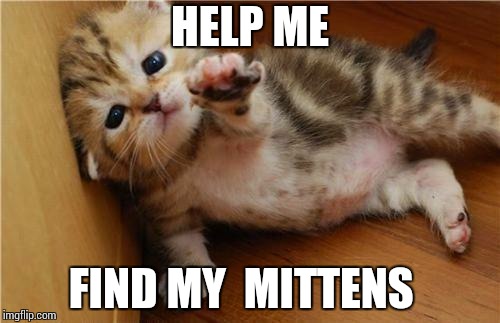 Help Me Kitten | HELP ME; FIND MY  MITTENS | image tagged in help me kitten | made w/ Imgflip meme maker