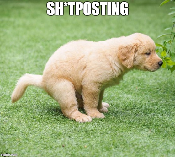 Sh*tPosting ftw | SH*TPOSTING | image tagged in doggo,poop | made w/ Imgflip meme maker