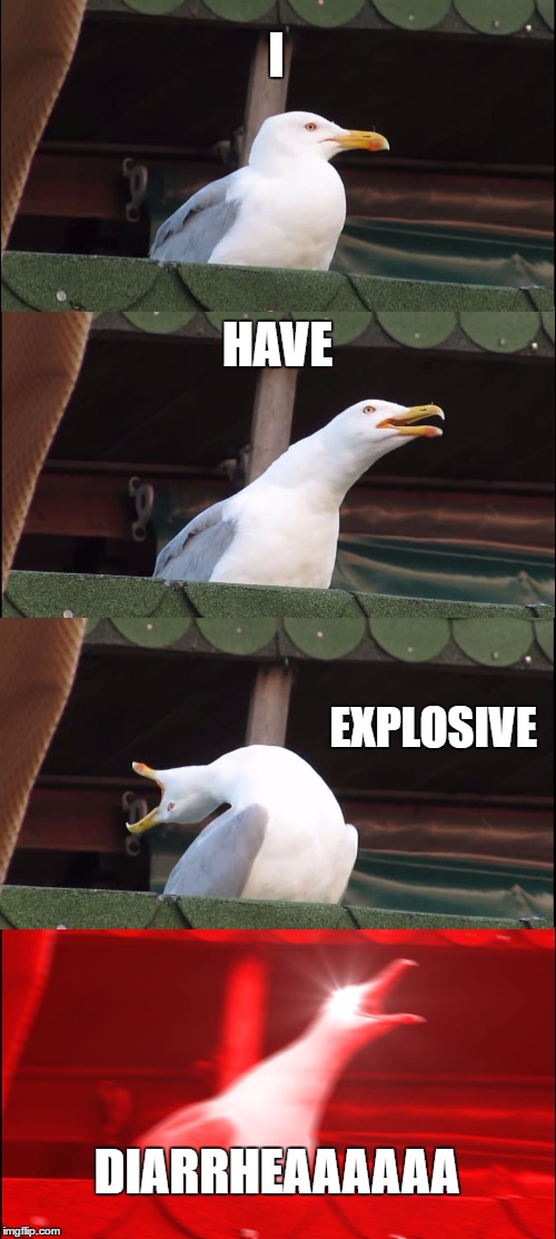 Inhaling Seagull | I; HAVE; EXPLOSIVE; DIARRHEAAAAAA | image tagged in memes,inhaling seagull | made w/ Imgflip meme maker