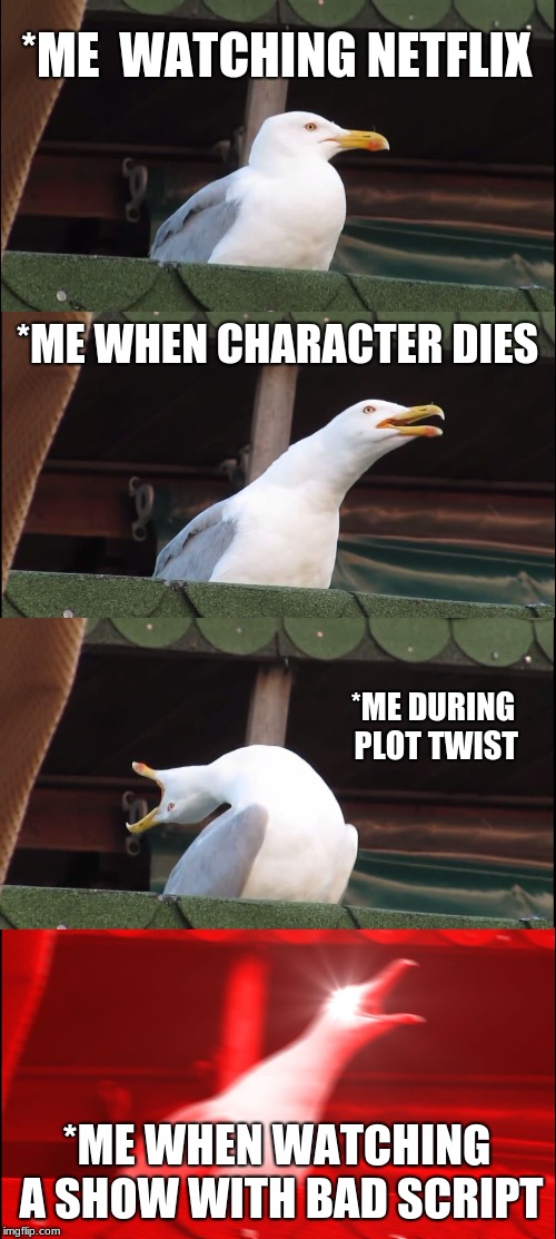 Inhaling Seagull Meme | *ME  WATCHING NETFLIX; *ME WHEN CHARACTER DIES; *ME DURING PLOT TWIST; *ME WHEN WATCHING A SHOW WITH BAD SCRIPT | image tagged in memes,inhaling seagull | made w/ Imgflip meme maker