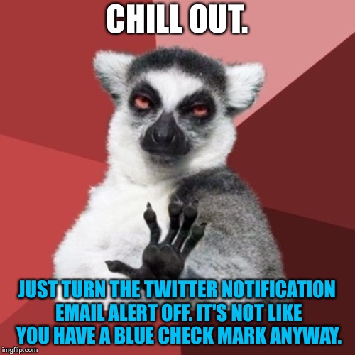 You are not trending on Twitter | CHILL OUT. JUST TURN THE TWITTER NOTIFICATION EMAIL ALERT OFF. IT'S NOT LIKE YOU HAVE A BLUE CHECK MARK ANYWAY. | image tagged in memes,chill out lemur,twitter,blue,email,social media | made w/ Imgflip meme maker