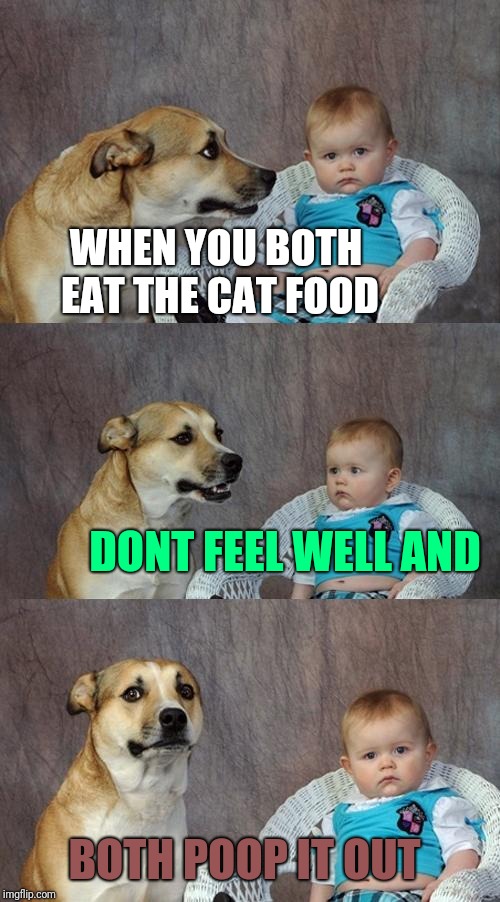 Dad Joke Dog | WHEN YOU BOTH EAT THE CAT FOOD; DONT FEEL WELL AND; BOTH POOP IT OUT | image tagged in memes,dad joke dog | made w/ Imgflip meme maker