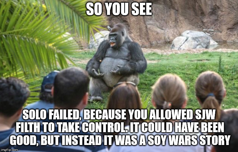 ted talk gorilla | SO YOU SEE; SOLO FAILED, BECAUSE YOU ALLOWED SJW FILTH TO TAKE CONTROL. IT COULD HAVE BEEN GOOD, BUT INSTEAD IT WAS A SOY WARS STORY | image tagged in ted talk gorilla | made w/ Imgflip meme maker