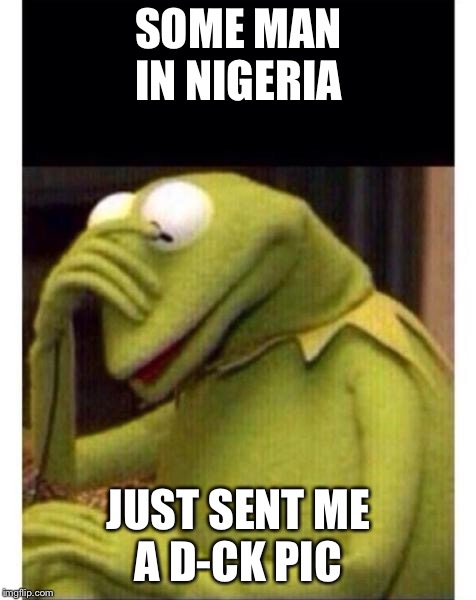 Facepalm frog | SOME MAN IN NIGERIA; JUST SENT ME A D-CK PIC | image tagged in facepalm frog | made w/ Imgflip meme maker