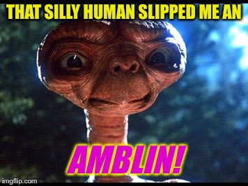 THAT SILLY HUMAN SLIPPED ME AN AMBLIN! | made w/ Imgflip meme maker