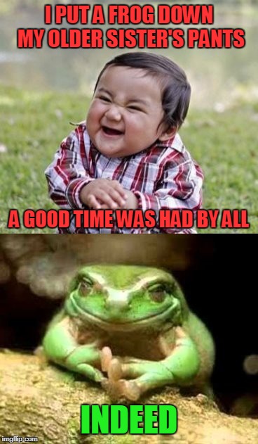 okay: the sister is 24 and the frog obviously survived - no probs (Frog Week, June 4-10, a giveuahint & JBmemegeek event) | I PUT A FROG DOWN MY OLDER SISTER'S PANTS; A GOOD TIME WAS HAD BY ALL; INDEED | image tagged in frog week,evil toddler,memes,frogs,pranks | made w/ Imgflip meme maker