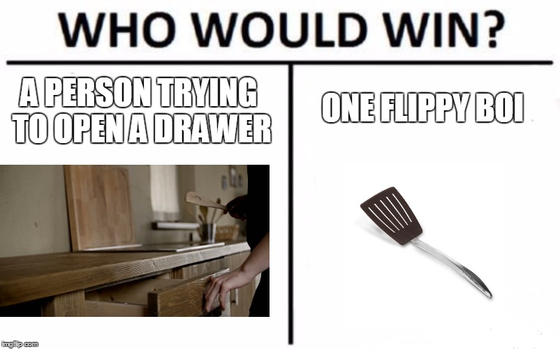Who Would Win? | ONE FLIPPY BOI; A PERSON TRYING TO OPEN A DRAWER | image tagged in memes,who would win | made w/ Imgflip meme maker
