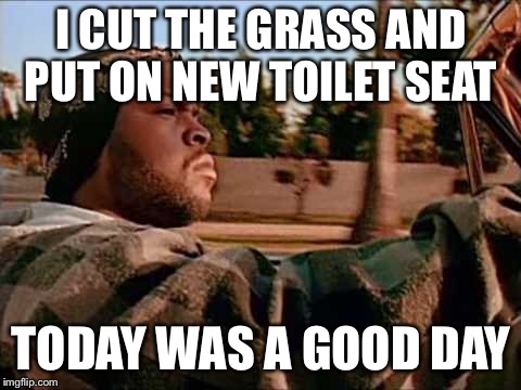 Today Was A Good Day | I CUT THE GRASS AND PUT ON NEW TOILET SEAT; TODAY WAS A GOOD DAY | image tagged in memes,today was a good day | made w/ Imgflip meme maker