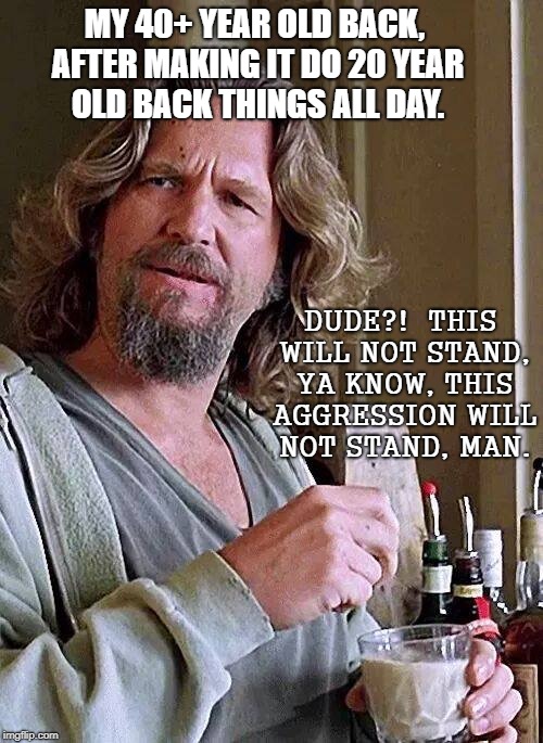 Dude | MY 40+ YEAR OLD BACK, AFTER MAKING IT DO 20 YEAR OLD BACK THINGS ALL DAY. DUDE?!  THIS WILL NOT STAND, YA KNOW, THIS AGGRESSION WILL NOT STAND, MAN. | image tagged in say what | made w/ Imgflip meme maker