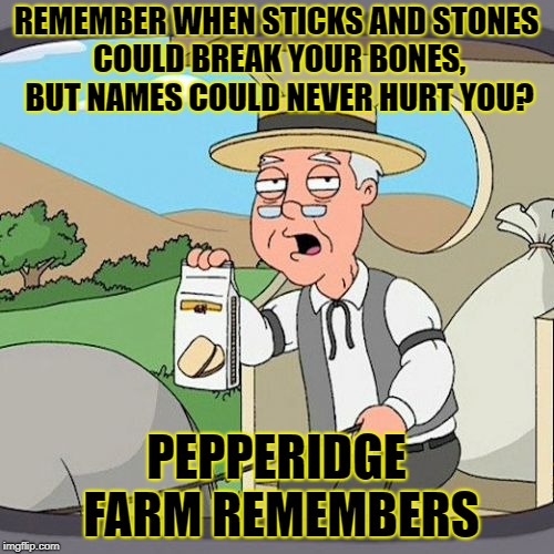 Getting tiresome... | REMEMBER WHEN STICKS AND STONES COULD BREAK YOUR BONES, BUT NAMES COULD NEVER HURT YOU? PEPPERIDGE FARM REMEMBERS | image tagged in pepperidge farm remembers | made w/ Imgflip meme maker