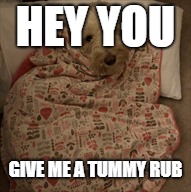 HEY YOU; GIVE ME A TUMMY RUB | image tagged in bad pun dog | made w/ Imgflip meme maker