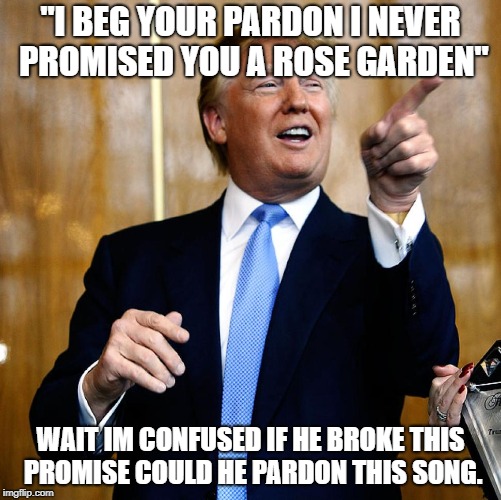 Donal Trump Birthday | "I BEG YOUR PARDON I NEVER PROMISED YOU A ROSE GARDEN"; WAIT IM CONFUSED IF HE BROKE THIS PROMISE COULD HE PARDON THIS SONG. | image tagged in donal trump birthday | made w/ Imgflip meme maker