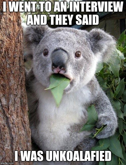 Suprised Koala | I WENT TO AN INTERVIEW AND THEY SAID; I WAS UNKOALAFIED | image tagged in suprised koala | made w/ Imgflip meme maker