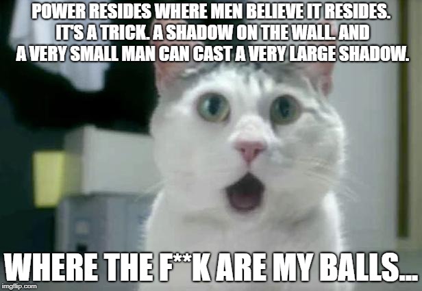 OMG Cat Meme | POWER RESIDES WHERE MEN BELIEVE IT RESIDES. IT'S A TRICK. A SHADOW ON THE WALL. AND A VERY SMALL MAN CAN CAST A VERY LARGE SHADOW. WHERE THE F**K ARE MY BALLS... | image tagged in memes,omg cat | made w/ Imgflip meme maker