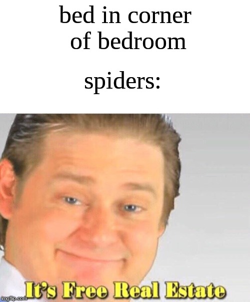 It's Free Real Estate | bed in corner of bedroom; spiders: | image tagged in free real estate,spiders | made w/ Imgflip meme maker