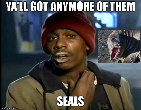 Y'all Got Any More Of That | YA'LL GOT ANYMORE OF THEM; SEALS | image tagged in memes,y'all got any more of that | made w/ Imgflip meme maker