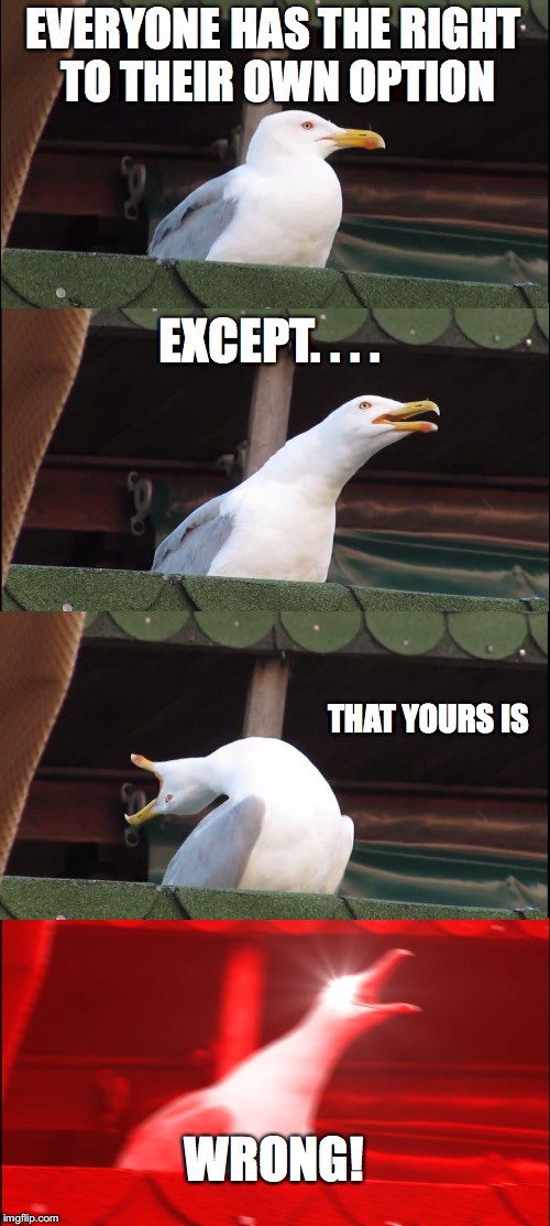 Inhaling Seagull Meme | EVERYONE HAS THE RIGHT TO THEIR OWN OPTION; EXCEPT. . . . THAT YOURS IS; WRONG! | image tagged in memes,inhaling seagull | made w/ Imgflip meme maker