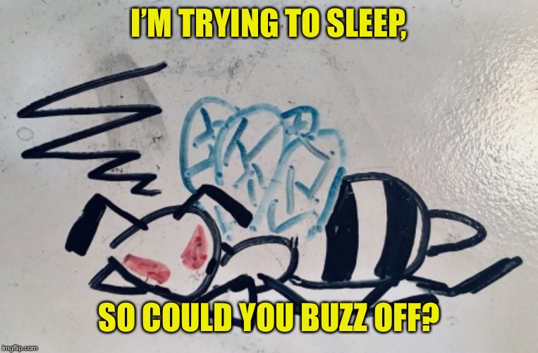 This was a comment, but oh well | I’M TRYING TO SLEEP, SO COULD YOU BUZZ OFF? | image tagged in pokemon,meme comments,beedrill | made w/ Imgflip meme maker