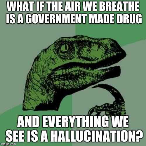 Philosoraptor | WHAT IF THE AIR WE BREATHE IS A GOVERNMENT MADE DRUG; AND EVERYTHING WE SEE IS A HALLUCINATION? | image tagged in memes,philosoraptor | made w/ Imgflip meme maker