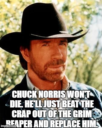 Chuck Norris Meme | CHUCK NORRIS WON'T DIE. HE'LL JUST BEAT THE CRAP OUT OF THE GRIM REAPER AND REPLACE HIM. | image tagged in memes,chuck norris | made w/ Imgflip meme maker