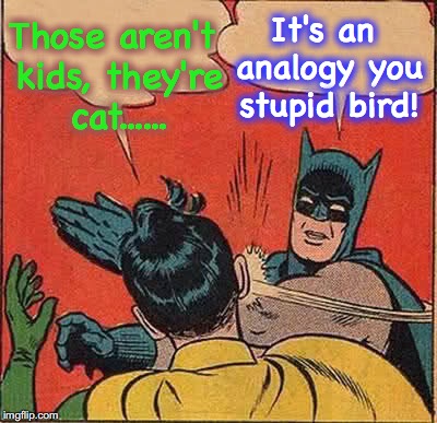 Batman Slapping Robin Meme | Those aren't kids, they're cat...... It's an analogy you stupid bird! | image tagged in memes,batman slapping robin | made w/ Imgflip meme maker