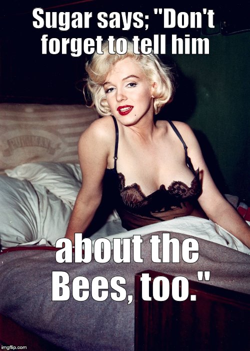 Some like it HOT | Sugar says; "Don't forget to tell him about the Bees, too." | image tagged in some like it hot | made w/ Imgflip meme maker