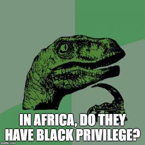 Philosoraptor Meme | IN AFRICA, DO THEY HAVE BLACK PRIVILEGE? | image tagged in memes,philosoraptor | made w/ Imgflip meme maker
