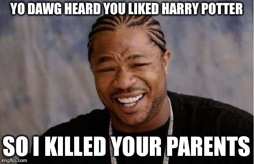 Yo Dawg Heard You | YO DAWG HEARD YOU LIKED HARRY POTTER; SO I KILLED YOUR PARENTS | image tagged in memes,yo dawg heard you | made w/ Imgflip meme maker