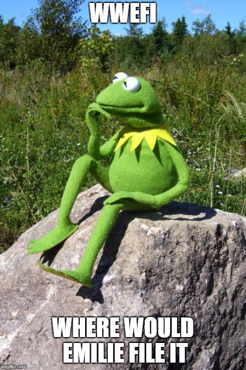 Kermit-thinking | WWEFI; WHERE WOULD EMILIE FILE IT | image tagged in kermit-thinking | made w/ Imgflip meme maker