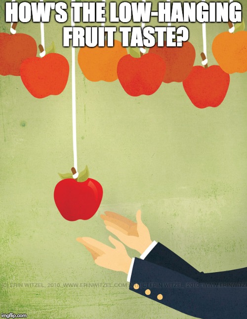 Low hanging fruit | HOW'S THE LOW-HANGING FRUIT TASTE? | image tagged in low hanging fruit | made w/ Imgflip meme maker