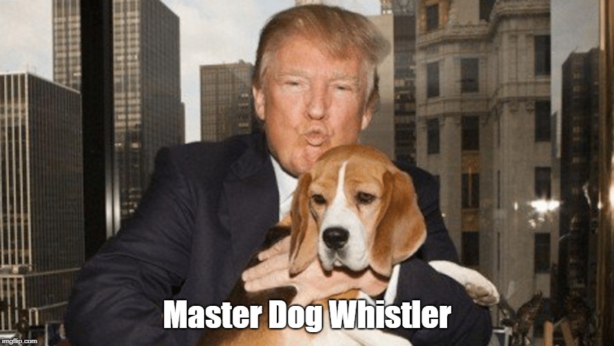 "Donald Trump: Master Dog Whistler" | Master Dog Whistler | image tagged in deplorable donald,despicable donald,detestable donald,devious donald,dishonorable donald,dishonest donald | made w/ Imgflip meme maker