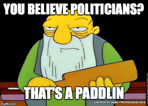 That's a paddlin' Meme | YOU BELIEVE POLITICIANS? THAT'S A PADDLIN; CAPTION BY JAMIE FREDRICKSON 2018 | image tagged in memes,that's a paddlin' | made w/ Imgflip meme maker
