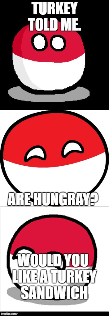 Bad Pun Polandball | TURKEY TOLD ME. ARE HUNGRAY? WOULD YOU LIKE A TURKEY SANDWICH | image tagged in bad pun polandball | made w/ Imgflip meme maker