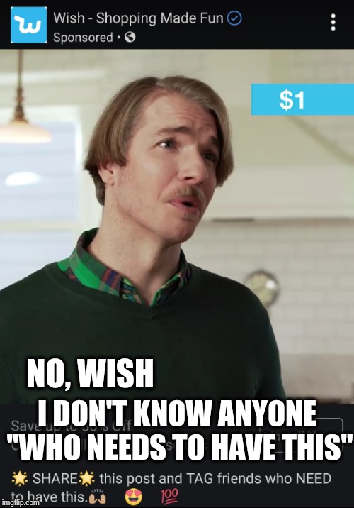 I Wish I May; I Wish I Might... | I DON'T KNOW ANYONE "WHO NEEDS TO HAVE THIS"; NO, WISH | image tagged in funny,wish,advertisement,shopping,retail | made w/ Imgflip meme maker