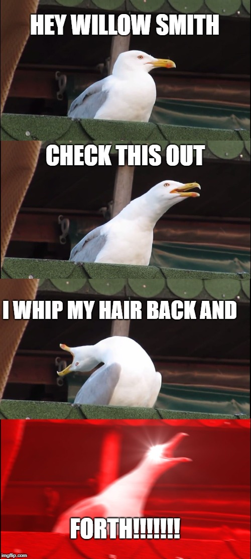 How to headbang | HEY WILLOW SMITH; CHECK THIS OUT; I WHIP MY HAIR BACK AND; FORTH!!!!!!! | image tagged in memes,inhaling seagull,headbanging,willow smith,heavy metal,humor | made w/ Imgflip meme maker