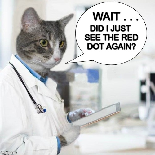 A Medical Cat should never be distracted. | WAIT . . . DID I JUST SEE THE RED DOT AGAIN? | image tagged in cat,doctor,distraction,chase,medicine,medical | made w/ Imgflip meme maker