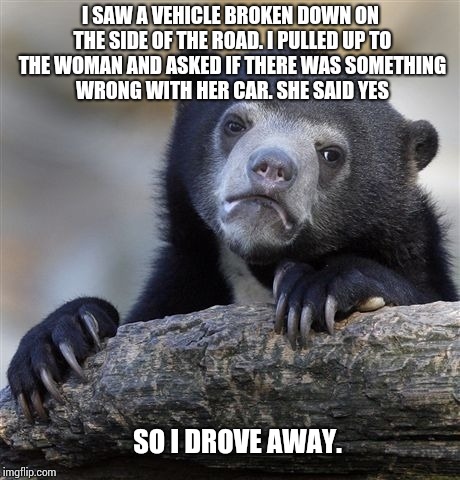 Confession Bear Meme | I SAW A VEHICLE BROKEN DOWN ON THE SIDE OF THE ROAD. I PULLED UP TO THE WOMAN AND ASKED IF THERE WAS SOMETHING WRONG WITH HER CAR. SHE SAID YES; SO I DROVE AWAY. | image tagged in memes,confession bear | made w/ Imgflip meme maker