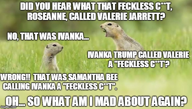 DID YOU HEAR WHAT THAT FECKLESS C**T, ROSEANNE, CALLED VALERIE JARRETT? NO, THAT WAS IVANKA... IVANKA TRUMP CALLED VALERIE A "FECKLESS C**T'? WRONG!!  THAT WAS SAMANTHA BEE CALLING IVANKA A "FECKLESS C**T". OH... SO WHAT AM I MAD ABOUT AGAIN? | image tagged in liberals_screeching_about_roseanne | made w/ Imgflip meme maker