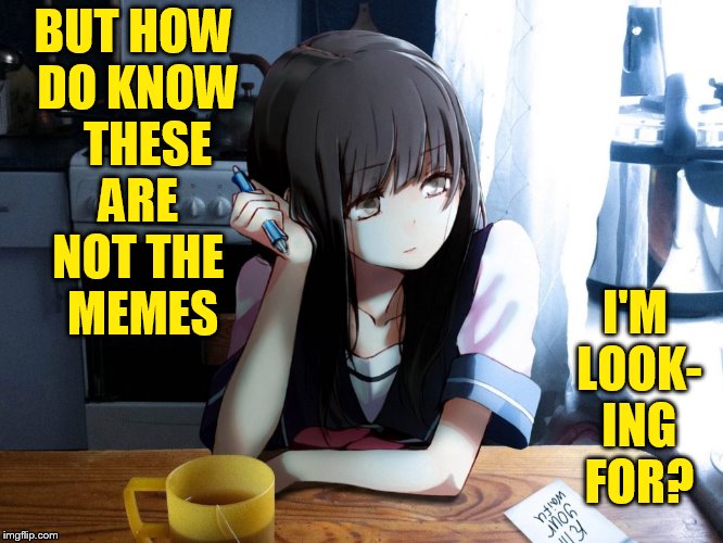 BUT HOW DO KNOW   THESE ARE NOT THE  MEMES I'M LOOK- ING FOR? | made w/ Imgflip meme maker
