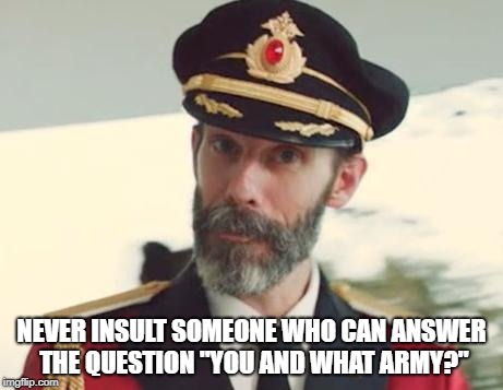 Captain Obvious | NEVER INSULT SOMEONE WHO CAN ANSWER THE QUESTION "YOU AND WHAT ARMY?" | image tagged in captain obvious | made w/ Imgflip meme maker