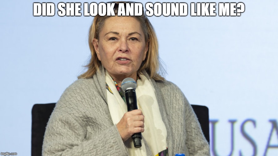 DID SHE LOOK AND SOUND LIKE ME? | made w/ Imgflip meme maker